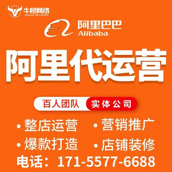 承德电商代运营