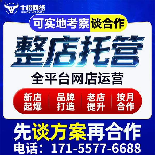 承德电商代运营