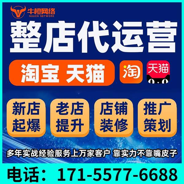承德电商代运营