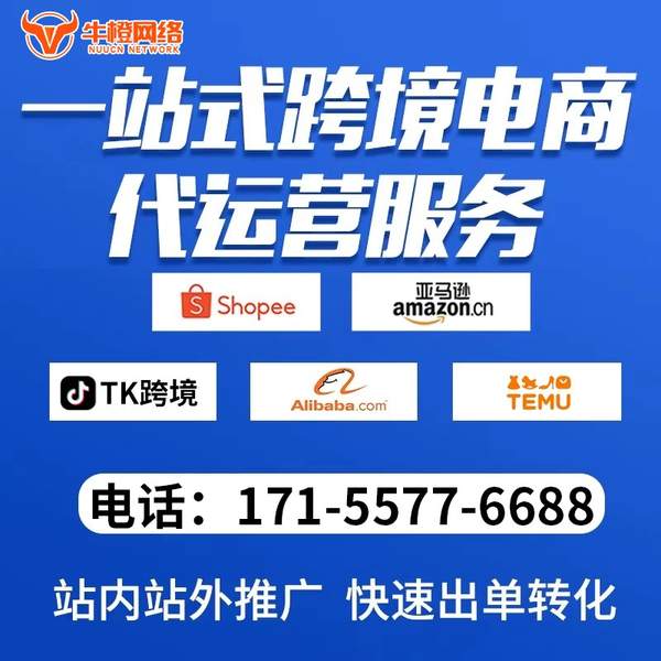 承德电商代运营