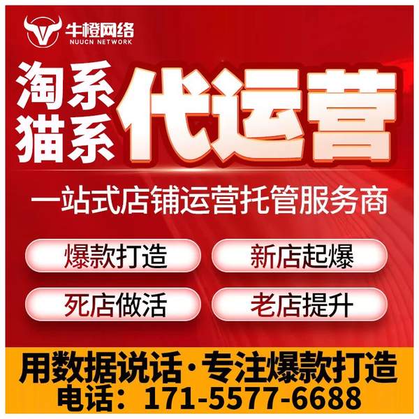 承德电商代运营